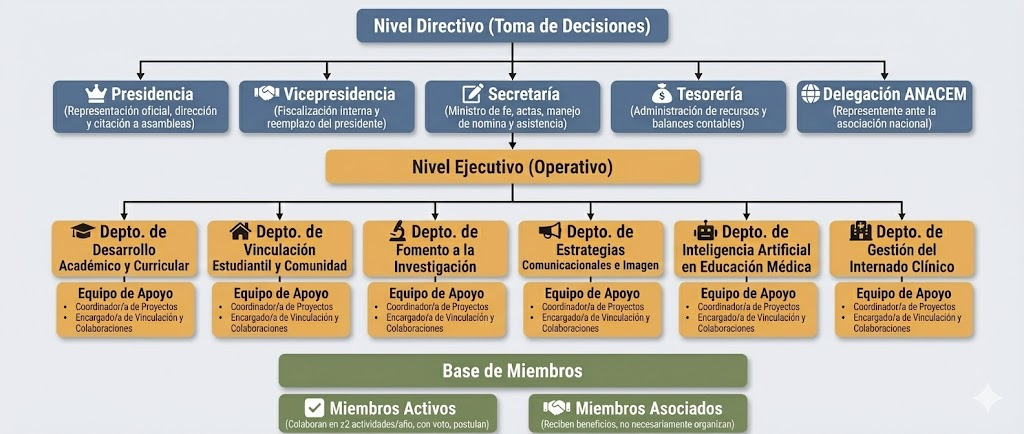 Organigrama Estructural ACEM UVSF